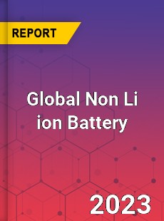 Global Non Li ion Battery Industry