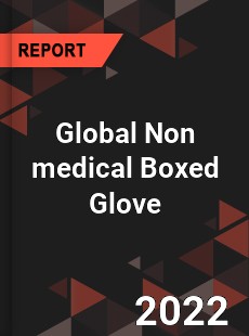 Global Non medical Boxed Glove Market