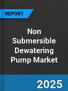 Global Non Submersible Dewatering Pump Market