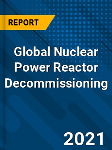 Global Nuclear Power Reactor Decommissioning Market