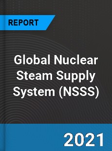 Global Nuclear Steam Supply System Market