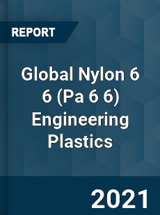 Global Nylon 6 6 Engineering Plastics Market
