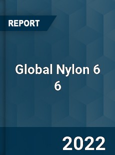 Global Nylon 6 6 Market