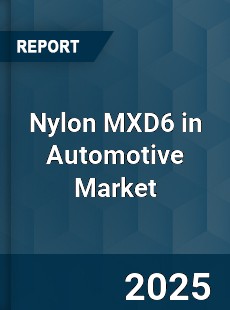 Global Nylon MXD6 in Automotive Market
