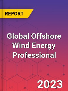Global Offshore Wind Energy Professional Market