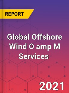 Global Offshore Wind O&M Services Market