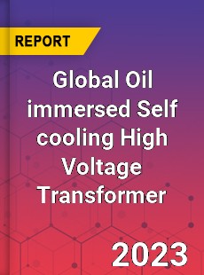 Global Oil immersed Self cooling High Voltage Transformer Industry