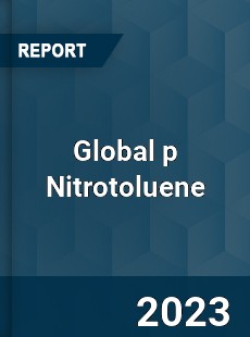 Global p Nitrotoluene Market