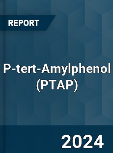 Global P tert Amylphenol Market