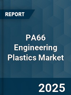Global PA66 Engineering Plastics Market