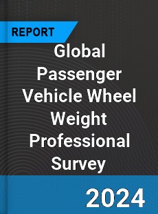 Global Passenger Vehicle Wheel Weight Professional Survey Report