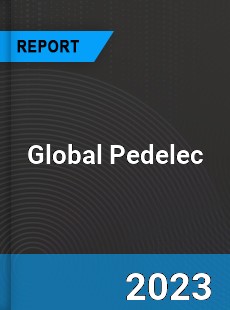 Global Pedelec Industry
