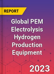 Global PEM Electrolysis Hydrogen Production Equipment Industry