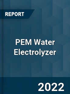 Global PEM Water Electrolyzer Market