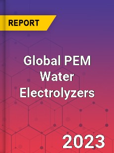 Global PEM Water Electrolyzers Industry