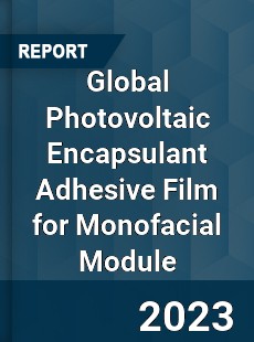 Global Photovoltaic Encapsulant Adhesive Film for Monofacial Module Industry