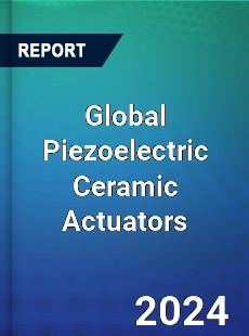 Global Piezoelectric Ceramic Actuators Industry