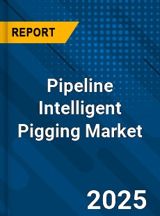Global Pipeline Intelligent Pigging Market