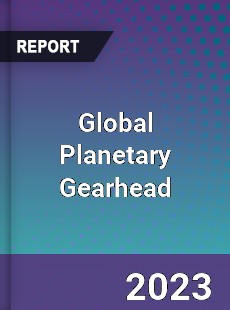 Global Planetary Gearhead Industry