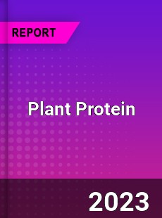 Global Plant Protein Market