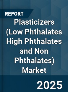Global Plasticizers Market