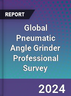 Global Pneumatic Angle Grinder Professional Survey Report