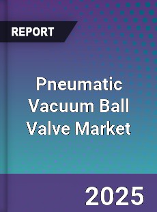 Global Pneumatic Vacuum Ball Valve Outlook
