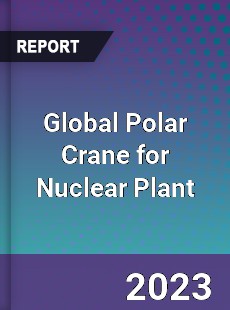 Global Polar Crane for Nuclear Plant Industry