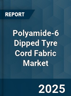 Global Polyamide 6 Dipped Tyre Cord Fabric Industry
