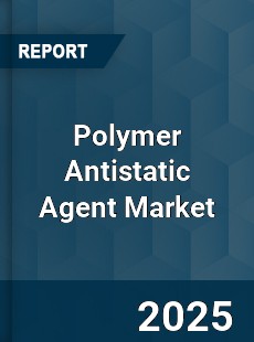 Global Polymer Antistatic Agent Industry