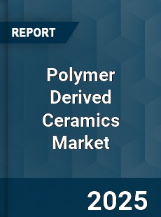 Global Polymer Derived Ceramics Market