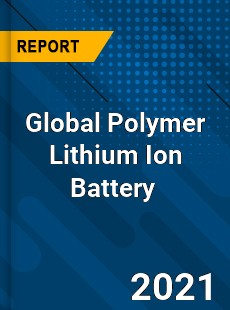 Global Polymer Lithium Ion Battery Market