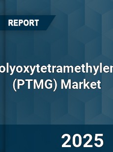 Global Polyoxytetramethylene Market
