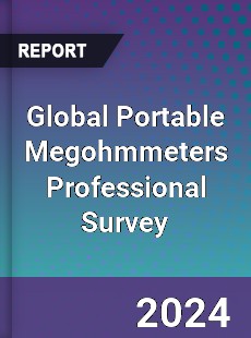Global Portable Megohmmeters Professional Survey Report