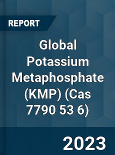 Global Potassium Metaphosphate Market