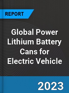 Global Power Lithium Battery Cans for Electric Vehicle Industry