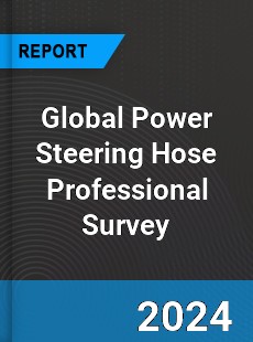 Global Power Steering Hose Professional Survey Report