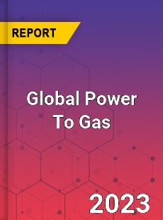 Global Power To Gas Market
