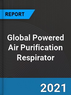 Global Powered Air Purification Respirator Industry