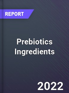 Global Prebiotics Ingredients Market