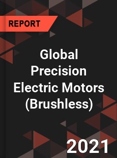 Global Precision Electric Motors Market