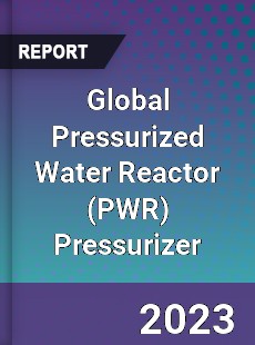 Global Pressurized Water Reactor Pressurizer Industry