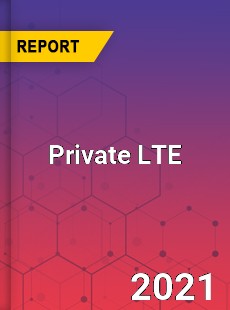 Global Private LTE Market