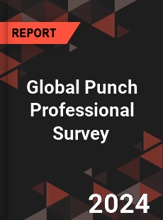 Global Punch Professional Survey Report