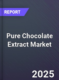 Global Pure Chocolate Extract Outlook