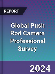 Global Push Rod Camera Professional Survey Report