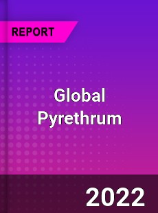 Global Pyrethrum Market