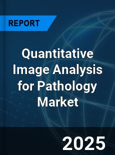 Global Quantitative Image Analysis