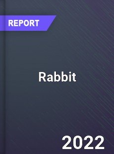 Global Rabbit Industry