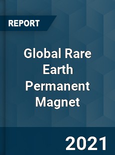 Global Rare Earth Permanent Magnet Market